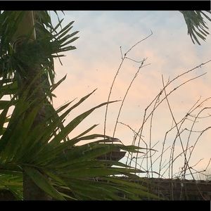 Meet your Posher, Maggie